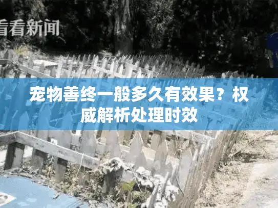 宠物善终一般多久有效果？权威解析处理时效