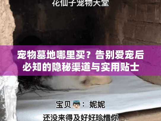 宠物墓地哪里买？告别爱宠后必知的隐秘渠道与实用贴士