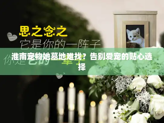 淮南宠物她墓地难找？告别爱宠的贴心选择