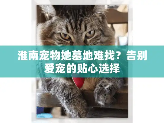 淮南宠物她墓地难找？告别爱宠的贴心选择