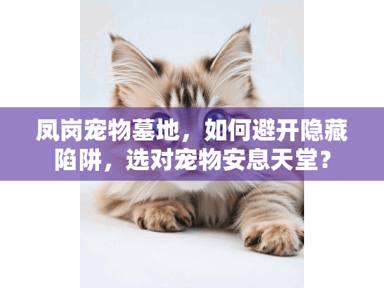 凤岗宠物墓地,如何避开隐藏陷阱,选对宠物安息天堂? 凤岗宠物墓地,如何避开隐藏陷阱,选对宠物安息天堂?