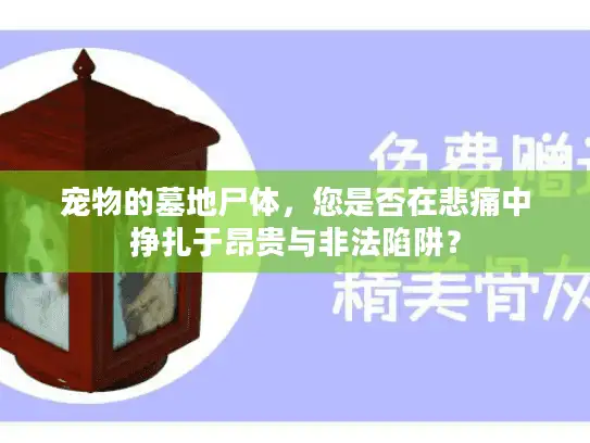 宠物的墓地尸体,您是否在悲痛中挣扎于昂贵与非法陷阱? 宠物的墓地尸体,您是否在悲痛中挣扎于昂贵与非法陷阱?