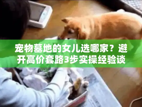 宠物墓地的女儿选哪家？避开高价套路3步实操经验谈