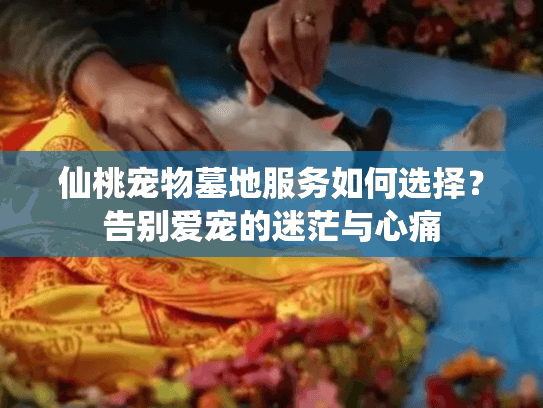 仙桃宠物墓地服务如何选择?告别爱宠的迷茫与心痛 仙桃宠物墓地服务如何选择?告别爱宠的迷茫与心痛
