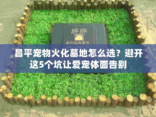 昌平宠物火化墓地怎么选？避开这5个坑让爱宠体面告别