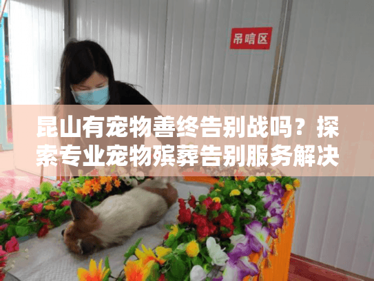 昆山有宠物善终告别战吗?探索专业宠物殡葬告别服务解决方案 昆山有宠物善终告别战吗?探索专业宠物殡葬告别服务解决方案