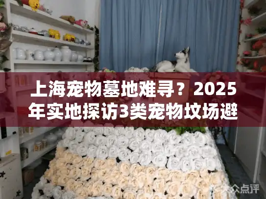 上海宠物墓地难寻？2025年实地探访3类宠物坟场避坑指南