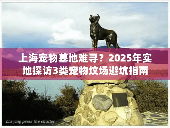 上海宠物墓地难寻？2025年实地探访3类宠物坟场避坑指南