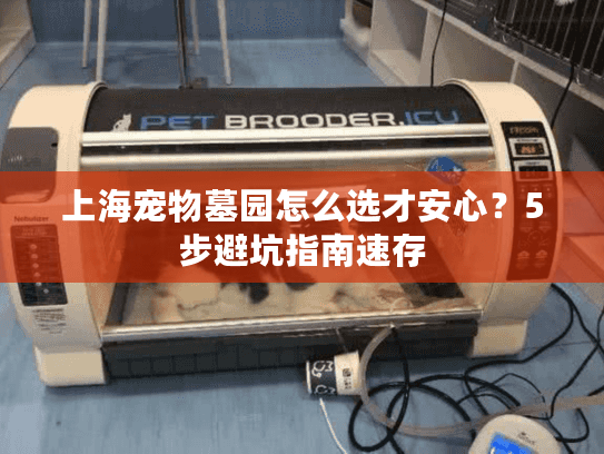 上海宠物墓园怎么选才安心？5步避坑指南速存