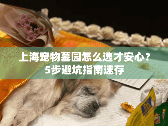 上海宠物墓园怎么选才安心？5步避坑指南速存
