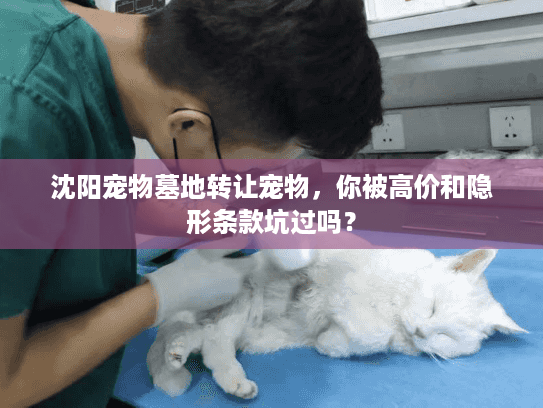 沈阳宠物墓地转让宠物，你被高价和隐形条款坑过吗？