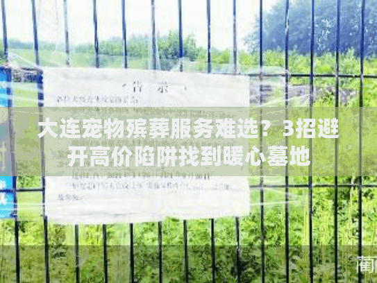 大连宠物殡葬服务难选？3招避开高价陷阱找到暖心墓地