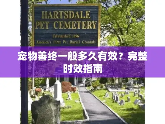 宠物善终一般多久有效？完整时效指南