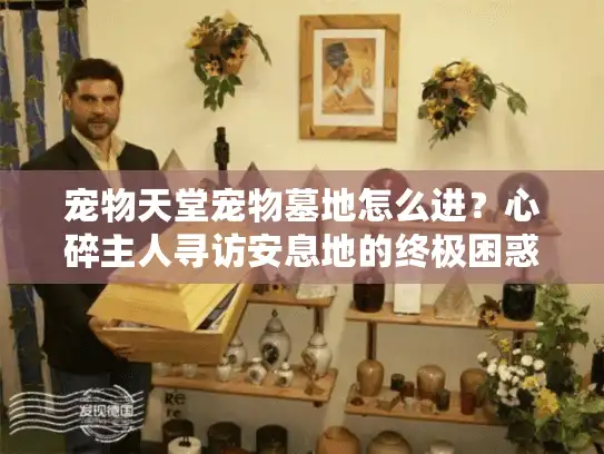 宠物天堂宠物墓地怎么进？心碎主人寻访安息地的终极困惑破解