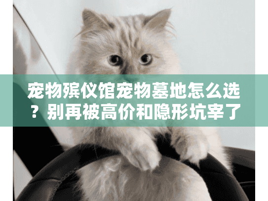 宠物殡仪馆宠物墓地怎么选？别再被高价和隐形坑宰了