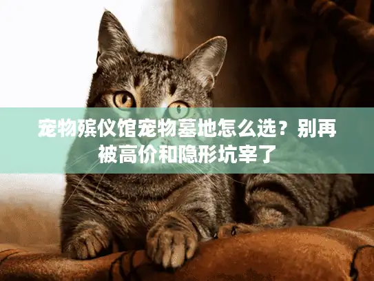 宠物殡仪馆宠物墓地怎么选？别再被高价和隐形坑宰了