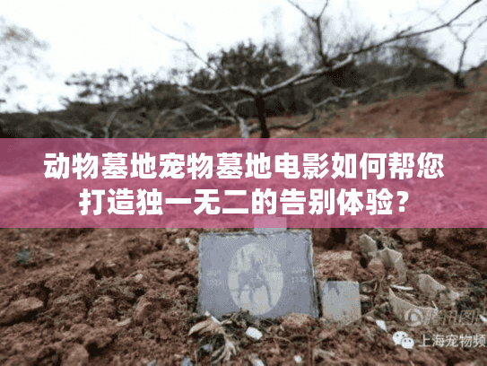 动物墓地宠物墓地电影如何帮您打造独一无二的告别体验? 动物墓地宠物墓地电影如何帮您打造独一无二的告别体验?
