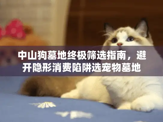 中山狗墓地终极筛选指南，避开隐形消费陷阱选宠物墓地