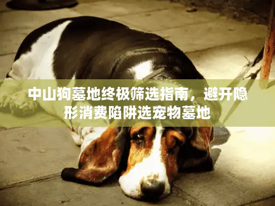 中山狗墓地终极筛选指南，避开隐形消费陷阱选宠物墓地