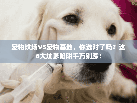 宠物坟场VS宠物墓地，你选对了吗？这6大坑爹陷阱千万别踩！