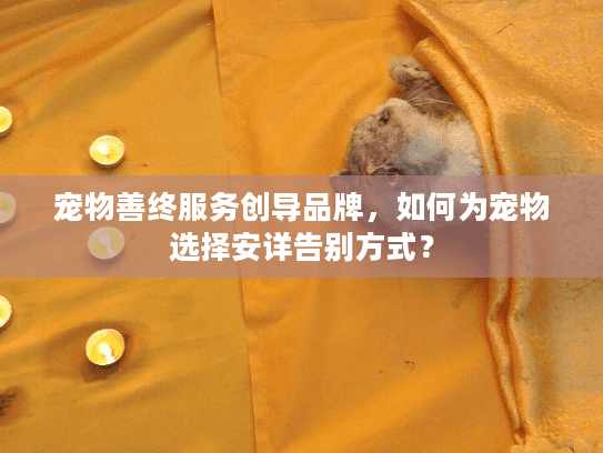 宠物善终服务创导品牌，如何为宠物选择安详告别方式？