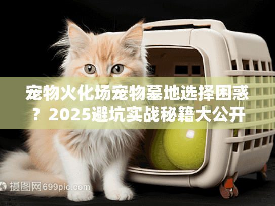 宠物火化场宠物墓地选择困惑？2025避坑实战秘籍大公开