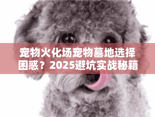 宠物火化场宠物墓地选择困惑？2025避坑实战秘籍大公开