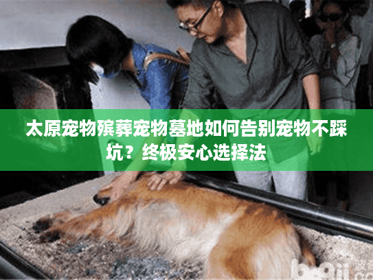 太原宠物殡葬宠物墓地如何告别宠物不踩坑？终极安心选择法