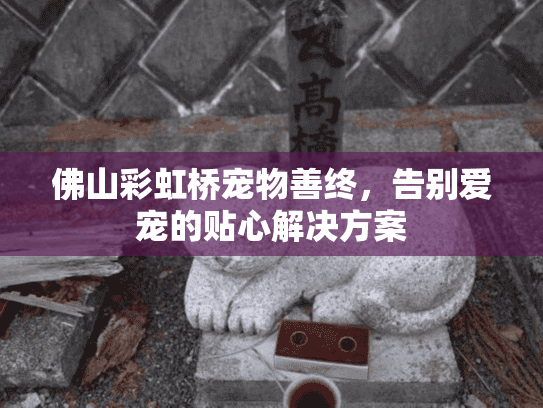 佛山彩虹桥宠物善终，告别爱宠的贴心解决方案