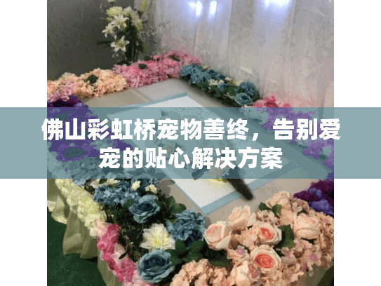 佛山彩虹桥宠物善终，告别爱宠的贴心解决方案