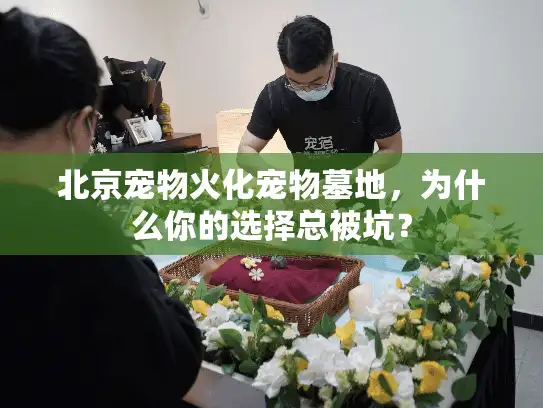 北京宠物火化宠物墓地，为什么你的选择总被坑？