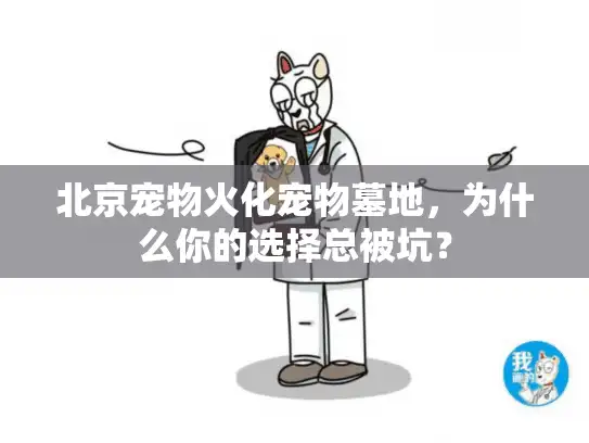 北京宠物火化宠物墓地，为什么你的选择总被坑？