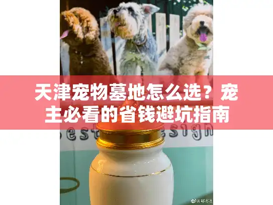 天津宠物墓地怎么选？宠主必看的省钱避坑指南