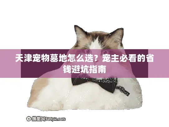 天津宠物墓地怎么选？宠主必看的省钱避坑指南