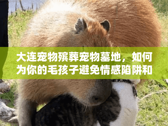 大连宠物殡葬宠物墓地，如何为你的毛孩子避免情感陷阱和天价收费？