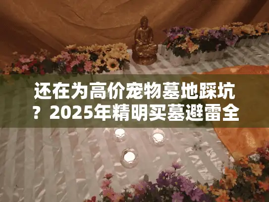 还在为高价宠物墓地踩坑？2025年精明买墓避雷全解