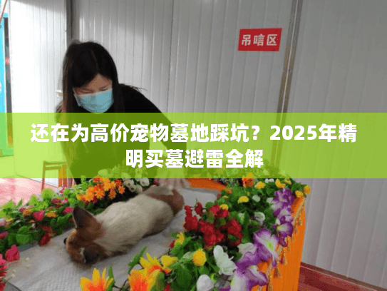 还在为高价宠物墓地踩坑？2025年精明买墓避雷全解