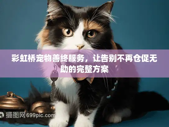 彩虹桥宠物善终服务，让告别不再仓促无助的完整方案