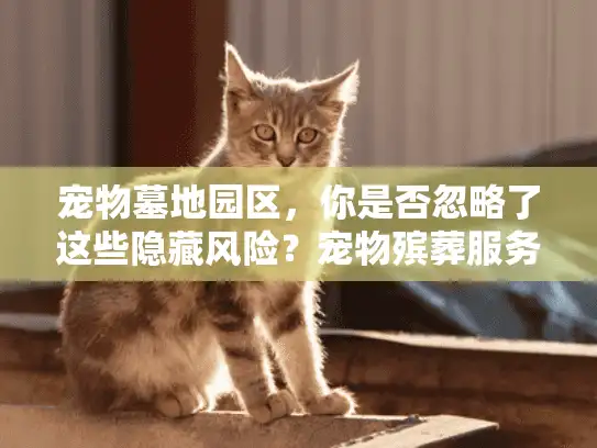 宠物墓地园区，你是否忽略了这些隐藏风险？宠物殡葬服务避坑全攻略