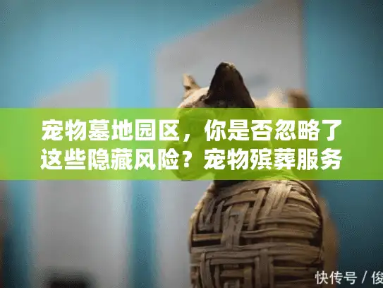 宠物墓地园区，你是否忽略了这些隐藏风险？宠物殡葬服务避坑全攻略