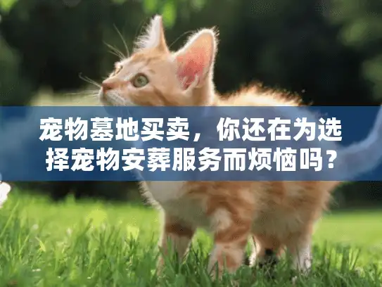 宠物墓地买卖，你还在为选择宠物安葬服务而烦恼吗？