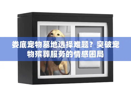 娄底宠物墓地选择难题？突破宠物殡葬服务的情感困局