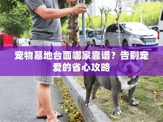 宠物墓地台面哪家靠谱?告别宠爱的省心攻略 宠物墓地台面哪家靠谱?告别宠爱的省心攻略