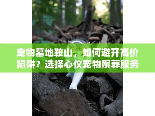 宠物墓地鞍山，如何避开高价陷阱？选择心仪宠物殡葬服务终结情感迷茫！