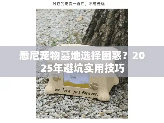 悉尼宠物墓地选择困惑？2025年避坑实用技巧