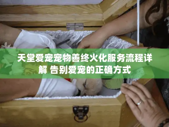 天堂爱宠宠物善终火化服务流程详解 告别爱宠的正确方式 天堂爱宠宠物善终火化服务流程详解 告别爱宠的正确方式