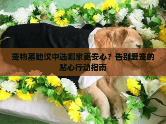 宠物墓地汉中选哪家更安心？告别爱宠的贴心行动指南