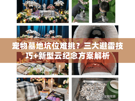 宠物墓地坑位难挑？三大避雷技巧+新型云纪念方案解析