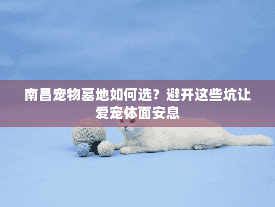 南昌宠物墓地如何选？避开这些坑让爱宠体面安息