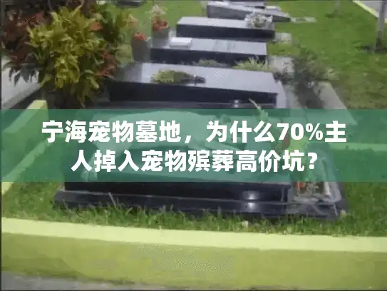 宁海宠物墓地,为什么70%主人掉入宠物殡葬高价坑? 宁海宠物墓地,为什么70%主人掉入宠物殡葬高价坑?